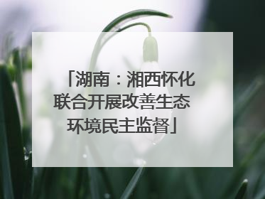 湖南：湘西怀化联合开展改善生态环境民主监督