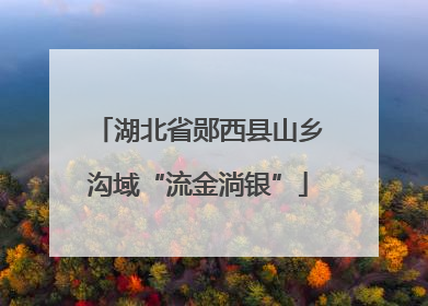 湖北省郧西县山乡沟域“流金淌银”