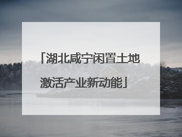 湖北咸宁闲置土地激活产业新动能