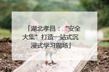 湖北孝昌：“安全大集”打造一站式沉浸式学习现场