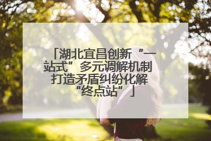 湖北宜昌创新“一站式”多元调解机制 打造矛盾纠纷化解“终点站”