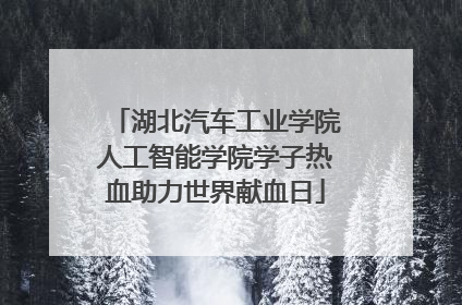 湖北汽车工业学院人工智能学院学子热血助力世界献血日
