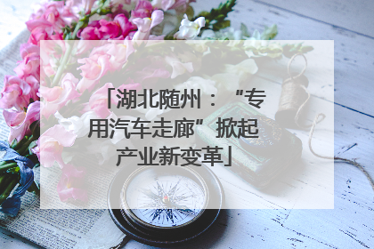 湖北随州：“专用汽车走廊”掀起产业新变革