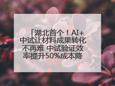 湖北首个！AI+中试让材料成果转化不再难 中试验证效率提升50%成本降低60%