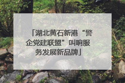 湖北黄石新港“警企党建联盟”叫响服务发展新品牌