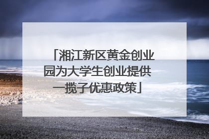 湘江新区黄金创业园为大学生创业提供一揽子优惠政策