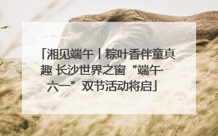 湘见端午丨粽叶香伴童真趣 长沙世界之窗“端午·六一”双节活动将启