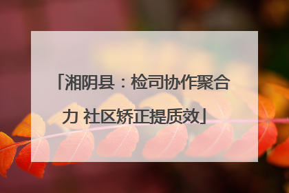 湘阴县：检司协作聚合力 社区矫正提质效