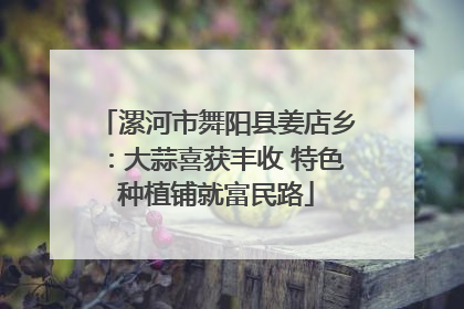 漯河市舞阳县姜店乡：大蒜喜获丰收 特色种植铺就富民路