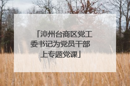 漳州台商区党工委书记为党员干部上专题党课