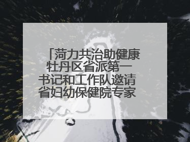 菏力共治助健康 牡丹区省派第一书记和工作队邀请省妇幼保健院专家开展义诊活动