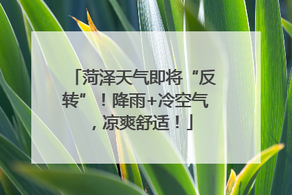 菏泽天气即将“反转”！降雨+冷空气，凉爽舒适！