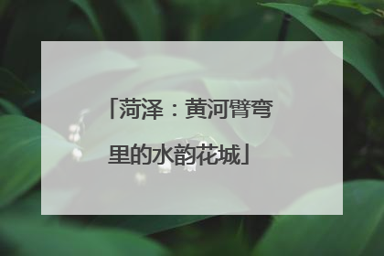 菏泽：黄河臂弯里的水韵花城