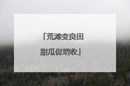 荒滩变良田 甜瓜促增收