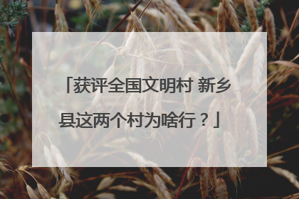获评全国文明村 新乡县这两个村为啥行？
