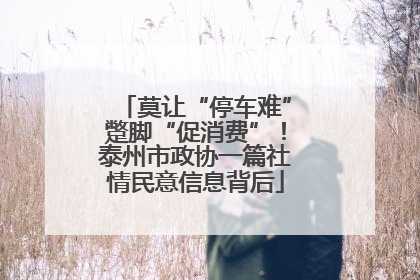 莫让“停车难”蹩脚“促消费”！泰州市政协一篇社情民意信息背后