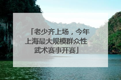 老少齐上场，今年上海最大规模群众性武术赛事开赛