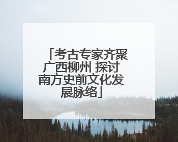 考古专家齐聚广西柳州 探讨南方史前文化发展脉络