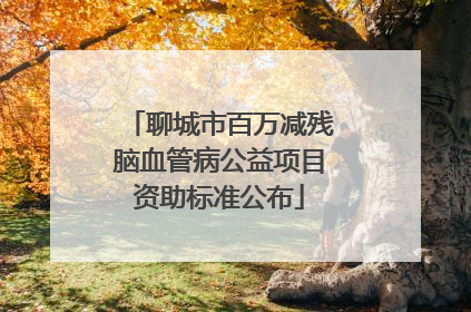 聊城市百万减残脑血管病公益项目资助标准公布