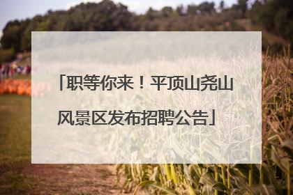 职等你来！平顶山尧山风景区发布招聘公告