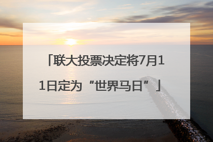 联大投票决定将7月11日定为“世界马日”