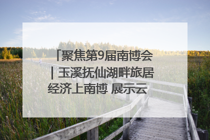 聚焦第9届南博会｜玉溪抚仙湖畔旅居经济上南博 展示云南生活新样本