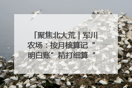 聚焦北大荒｜军川农场：按月核算记“明白账”精打细算“过紧日子”