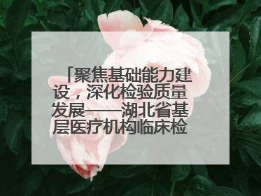 聚焦基础能力建设，深化检验质量发展——湖北省基层医疗机构临床检验质量控制培训班（孝感站）成功举办