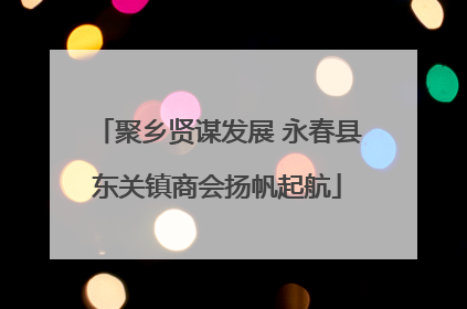 聚乡贤谋发展 永春县东关镇商会扬帆起航
