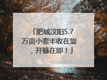 肥城汶阳5.7万亩小麦丰收在望，开镰在即！