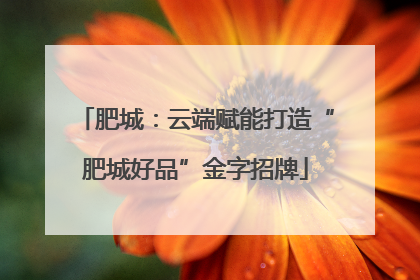 肥城：云端赋能打造“肥城好品”金字招牌