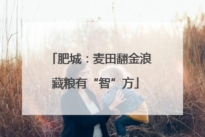 肥城：麦田翻金浪藏粮有“智”方