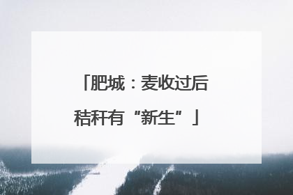 肥城：麦收过后秸秆有“新生”