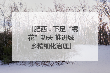 肥西：下足“绣花”功夫 推进城乡精细化治理