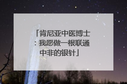 肯尼亚中医博士：我愿做一根联通中非的银针