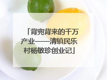 背兜背来的千万产业——清镇民乐村杨敏珍创业记