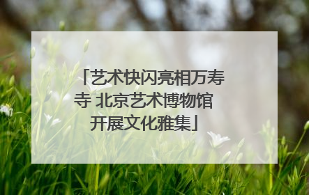 艺术快闪亮相万寿寺 北京艺术博物馆开展文化雅集