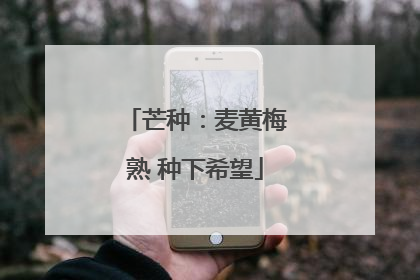 芒种：麦黄梅熟 种下希望