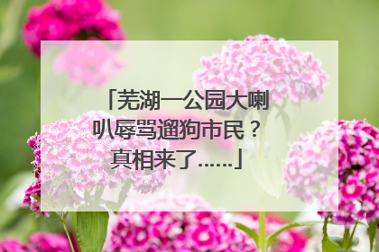 芜湖一公园大喇叭辱骂遛狗市民？真相来了……