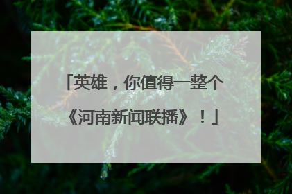 英雄，你值得一整个《河南新闻联播》！