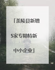茶陵县新增5家专精特新中小企业