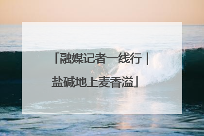 融媒记者一线行｜盐碱地上麦香溢
