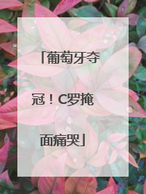 葡萄牙夺冠！C罗掩面痛哭