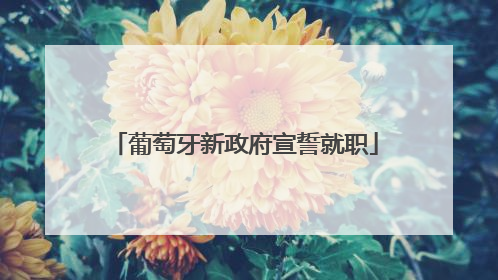 葡萄牙新政府宣誓就职