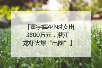 董宇辉4小时卖出3800万元，潜江龙虾火爆“出圈”
