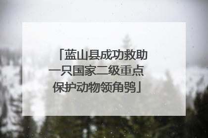 蓝山县成功救助一只国家二级重点保护动物领角鸮