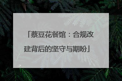 蔡豆花餐馆：合规改建背后的坚守与期盼