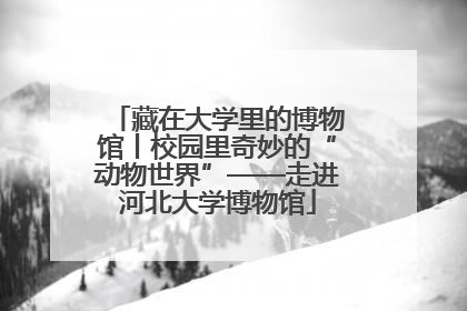 藏在大学里的博物馆丨校园里奇妙的“动物世界”——走进河北大学博物馆