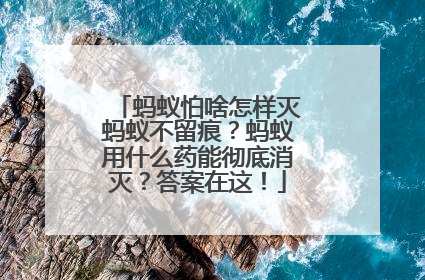 蚂蚁怕啥怎样灭蚂蚁不留痕？蚂蚁用什么药能彻底消灭？答案在这！