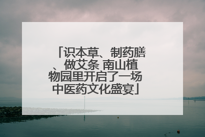 识本草、制药膳、做艾条 南山植物园里开启了一场中医药文化盛宴